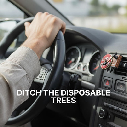 Reusable Spinning Turntable Car Air Freshener